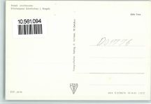 01773 O8242 Schellerhau