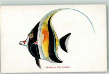 Honolulu Künstlerkarte Hawaii Kihikihi Fisch Ort lt. Verlag