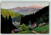 Bad Langenau Dlugopole-Zdroj Lithographie Der Schneeberg Gemälde sign. E.Morgenstern