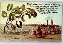 Oklahoma City OK Landwirtschaft Baumwolle Cotton Motiv USA