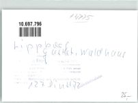 59510 W4775 Lippborg FOTO KEINE AK Gasthaus Waldhaus Ort handschriftlich