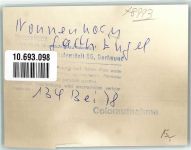88149 W8993 Nonnenhorn FOTO KEINE AK Gasthaus Engel Ort handschriftlich