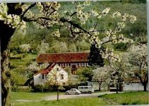 W6740 Landau in der Pfalz Gaststätte Buschmühle VW-Käfer Gastronomie