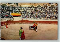 30000 Nimes - Stierkampfarena Torero vor dem finalen Stoß