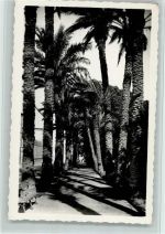 Almeria - Promenade San Luis