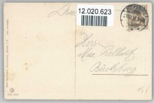 Bückeburg 1908 AK Geflügel - Trachten Schaumburg-Lippe
