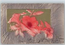 Blumen im Relief-Druck Reliefdruck 1906 Prägedruck