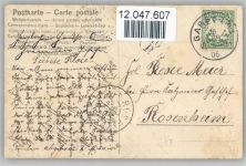Blumen im Relief-Druck Reliefdruck 1906 Prägedruck