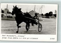 Stall Mutzenhof "Unisono" Zirebel Preis 2000 m 1961 Trabrennen 1962