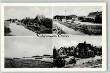 24217 W2306 Kalifornien , Holstein