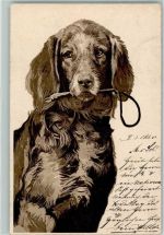Hasenschlinge im Maul AK Jagdhund 1901 Lithographie / Prägedruck