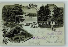 16348 O1292 Wandlitz 1900 Lithographie / Mondschein Gruss aus - Liepnitz See - Restaurant