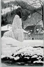 79856 W7824 Posthalde 1919 Nota Winter Gasthaus zum Adler Höllental