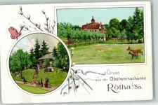 04571 O7209 Rötha 1910 Lithographie Obstweinschänke Rötha Rehwiese Schmetterling