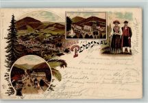 72250 W7605 Bad Peterstal-Griesbach 1898 Lithographie schöne Litho AK