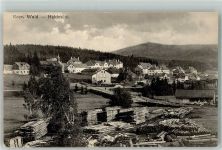 94145 W8391 Haidmühle , Niederbay - Bayr. Wald