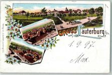 67630 Lauterbourg Lauterburg 1897 Lithographie Gruss aus