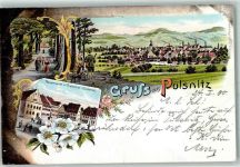 01896 O8514 Pulsnitz 1900 Lithographie Hauptmarkt Rietschel-Denkmal Schlossgartenpartie