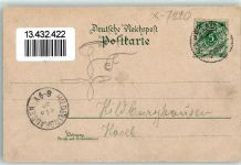 04523 O7220 Pegau Lithographie Kaiser Wilhelm-Denkmal Laurentius-Kirche Rathaus Schwäne