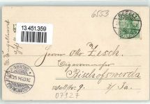 07927 O6553 Hirschberg , Saale 1904 Lithographie Waödlust Kirche Schloss Blumen Gruss
