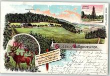 55743 W6581 Hüttgeswasen 1899 Lithographie Erbeskopf Turm 816 m Hirsch Gruss