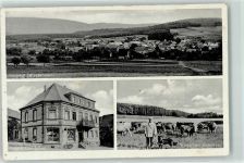 56479 W5439 Irmtraut - Weiher Badestrand Rinderweide Bauer Hund Gasthaus Schuy Bahnpoststempel