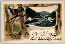 79733 W7883 Tiefenstein 1904 Prägedruck Albthal Auerhahn