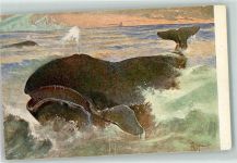 Meinholds Tierbild Nr. 71 Walfisch AK Wal Künstlerkarte