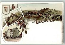 35327 W6314 Ulrichstein Lithographie Gasthaus z. Darmstädter Hof Wappen