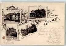 15518 O1243 Briesen Mark 1898 - Bahnhof Post Gasthaus zur Eisenbahn Bienenhäuser