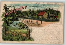 98716 O6303 Elgersburg 1898 Lithographie Gasthaus Mönchhof Hirsche