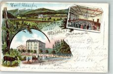 61440 W6370 Oberursel Taunus 1901 Lithographie Gasthaus-Pension Waldlust Speisesaal Hirsch