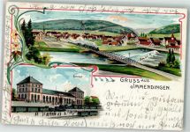78194 W7717 Immendingen 1903 Lithographie Bahnhof Donau Eisenbahnbrücke