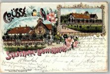 66111 W6600 Malstatt 1899 Lithographie Stadtpark Ludwigsberg