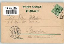 66111 W6600 Malstatt 1899 Lithographie Stadtpark Ludwigsberg