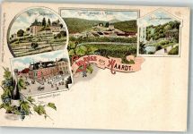 67433 W6730 Haardt an der Weinstraße Gebrauchsspuren Lithographie Haardter Schlösschen Etablissement Bauer Ludwigsbrunnen