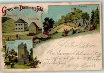 97772 W8789 Wildflecken 1904 Lithographie Dammersfeld Die Kuppe Wiesenhaus Ebersberg Aussichts-Pavillon