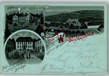 99819 O5901 Wilhelmsthal b Eisenach, Thür Lithographie Hotel-Gasthaus zum Auerhahn Schloß Mondschein