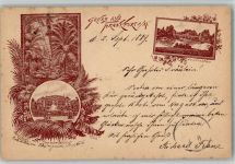 W6000 Frankfurt am Main Palmengarten Lithographie Vorläufer 1889 BOAKC