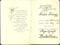 Winterthur Taufbüchlein von 1917, Vorderseite Stoff, Rosen in Vase Taufe KEINE AK