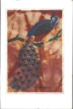 Peacock Pfau KEINE AK