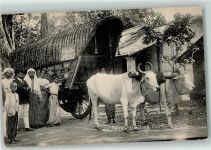 Foto AK Double Bullock Cart Volkstypen