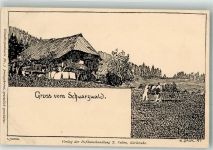 Gruss vom Schwarzwald Bauernhaus Verlag Velten Nr. 7 Daur, H. 1897 Lithographie / Künstlerkarte