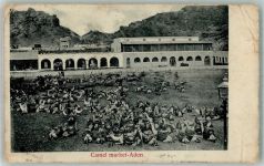 Aden 1907 Gebrauchsspuren Marktszene Kamele