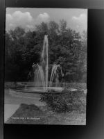 93158 W8418 Teublitz GLASNEGATIV Stadtpark