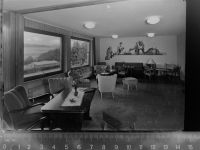 56479 W5439 Rehe GLASNEGATIV