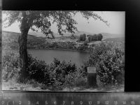 54531 W5562 Manderscheid , Eifel GLASNEGATIV
