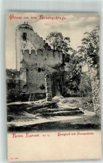 Kynast Chojnik Foto AK Burg Ruine mit Staupsäule