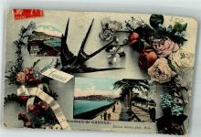 06150 Cannes 1908 Foto AK Gruß aus Blumen Schwalbe