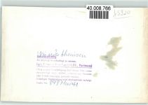 57319 W5920 Wunderthausen FOTO KEINE AK